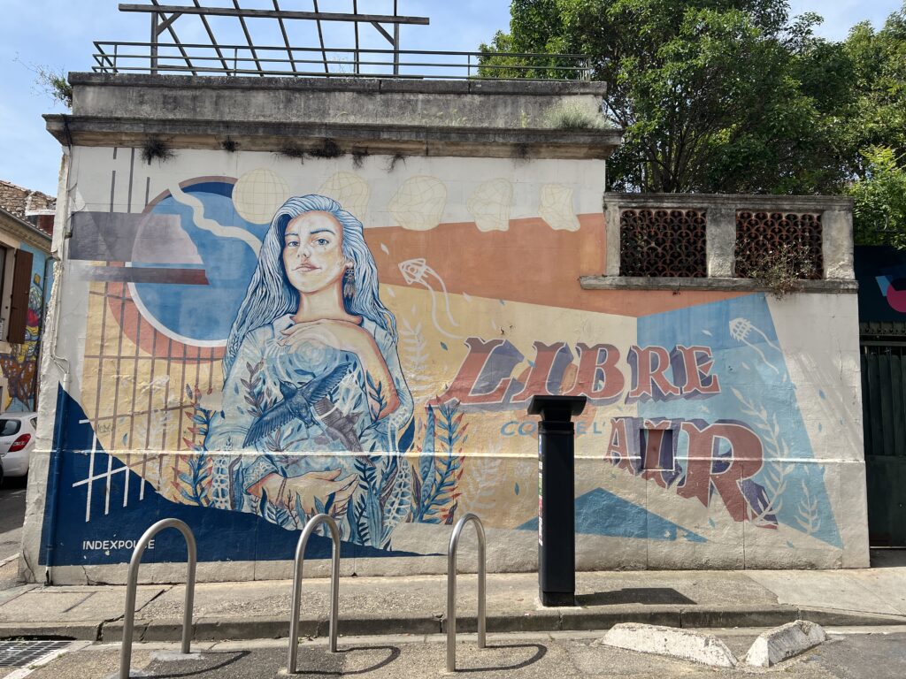 Le dessin représente une femme aux longs cheveux bleus entourée de végétation et tenant un oiseau, à côté de l'inscription stylisée « LIBRE COMME L'AIR ».